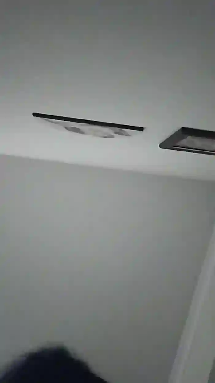 vogliadi6