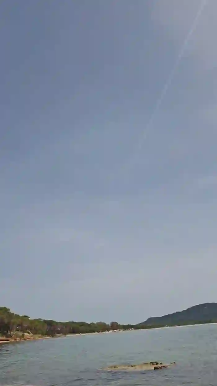 max18018