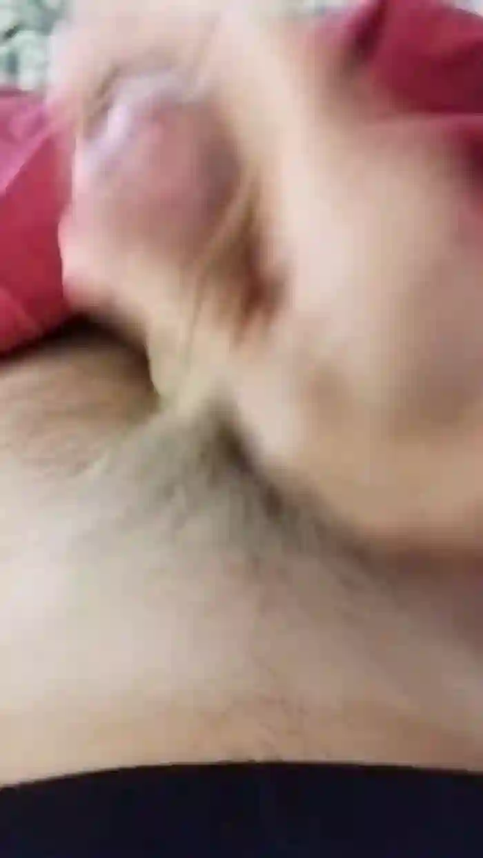 stefan519