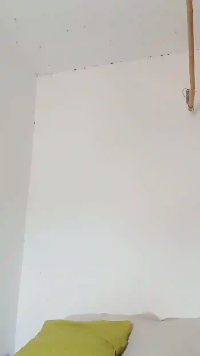 HAIRYPUSSYLIPS