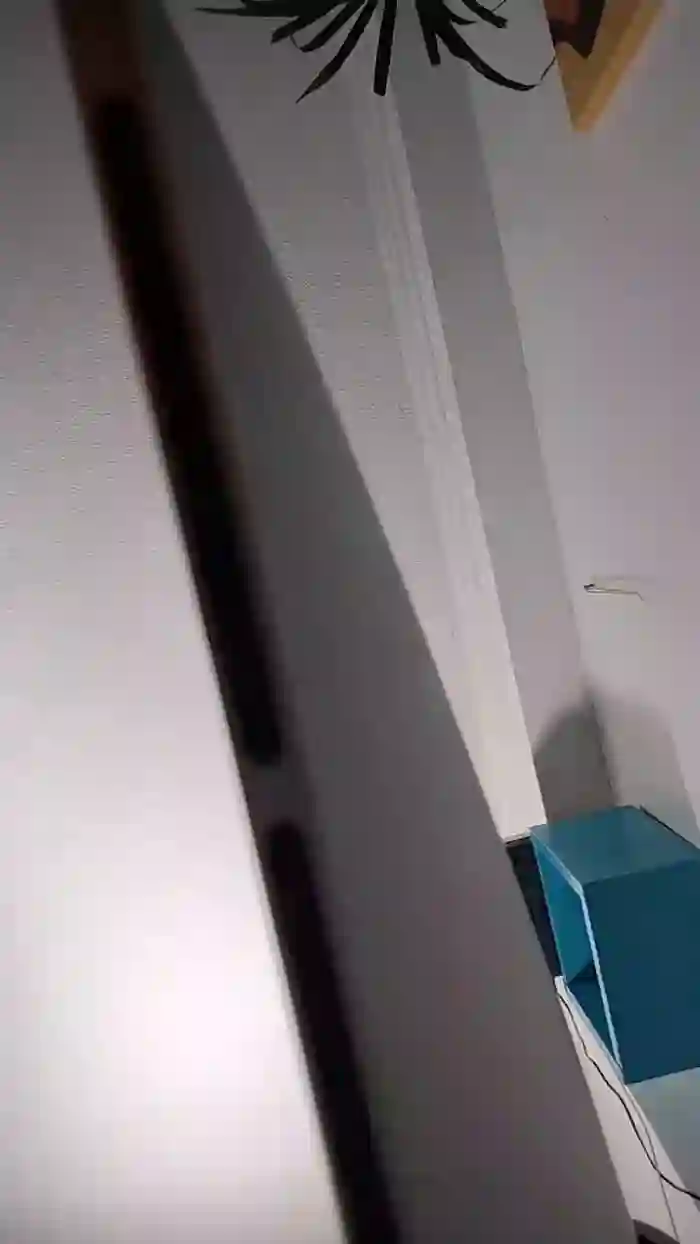 Latinaakita4