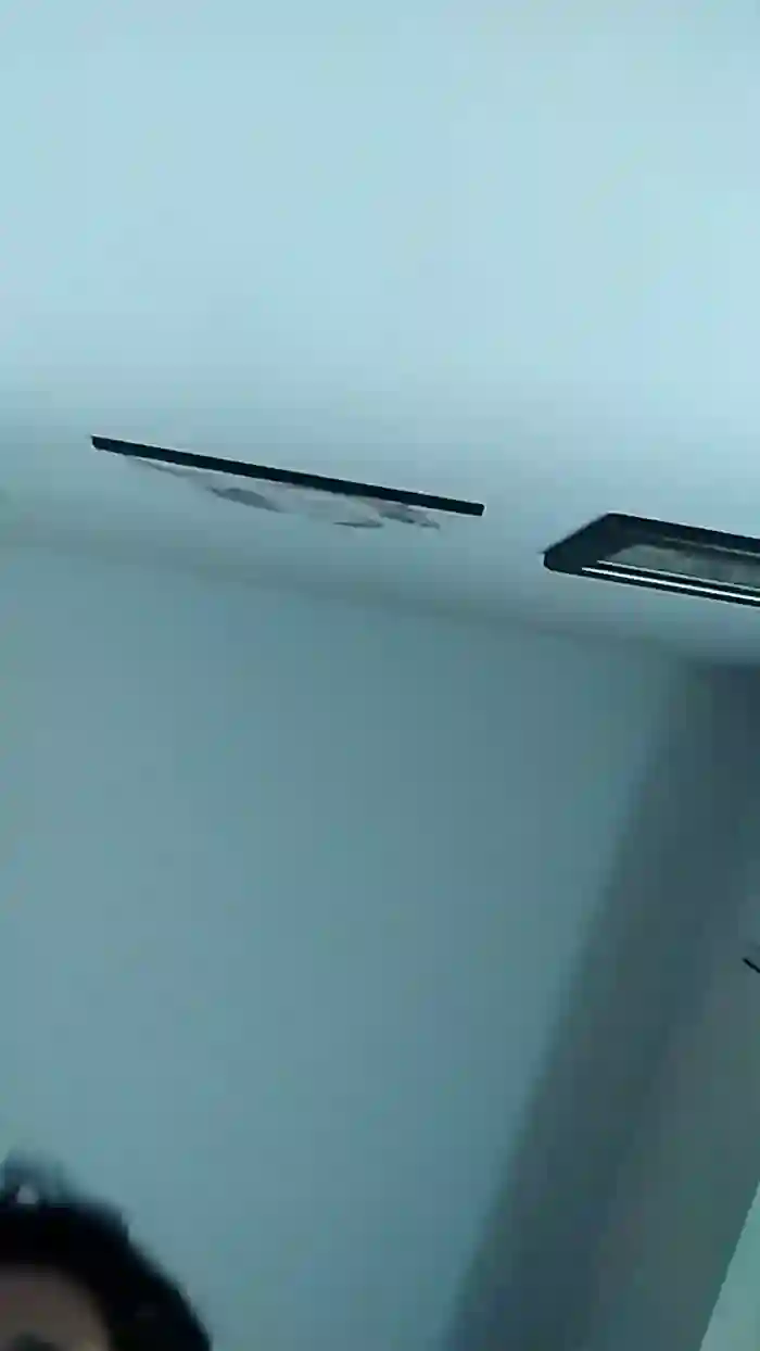 vogliadi6