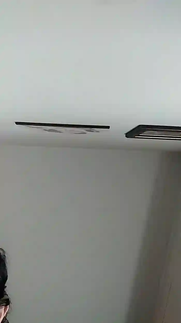 vogliadi6