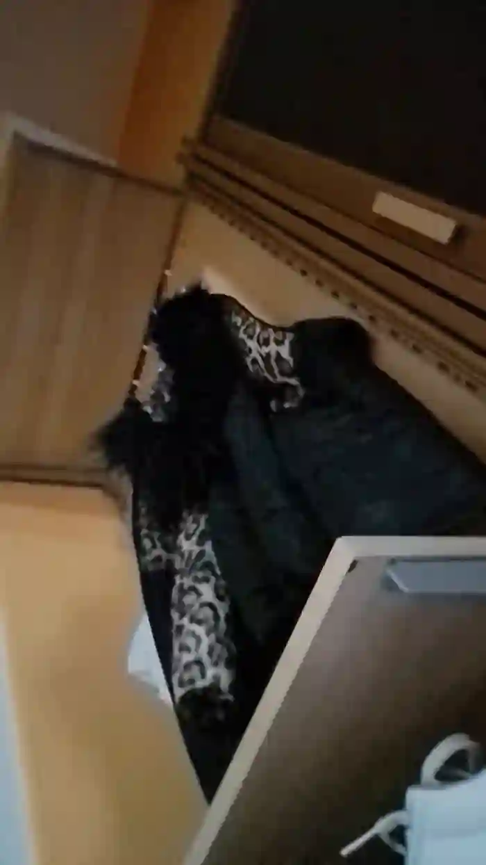Ywett_Doll