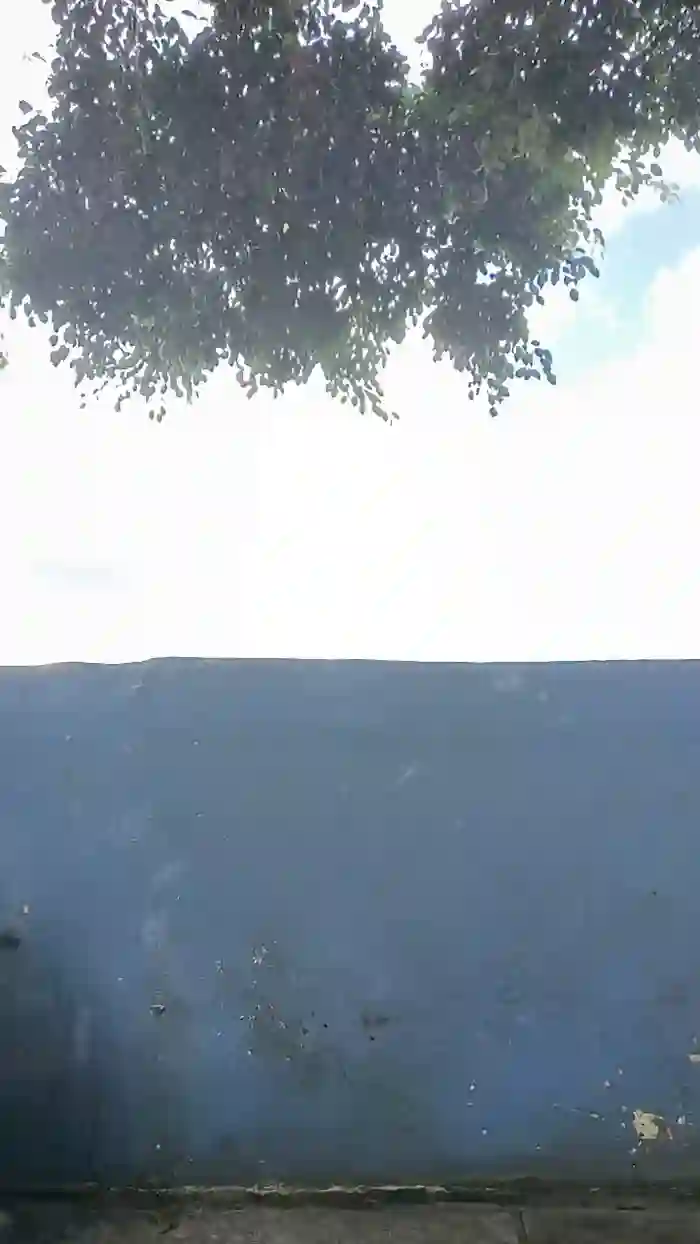 Van_aquino