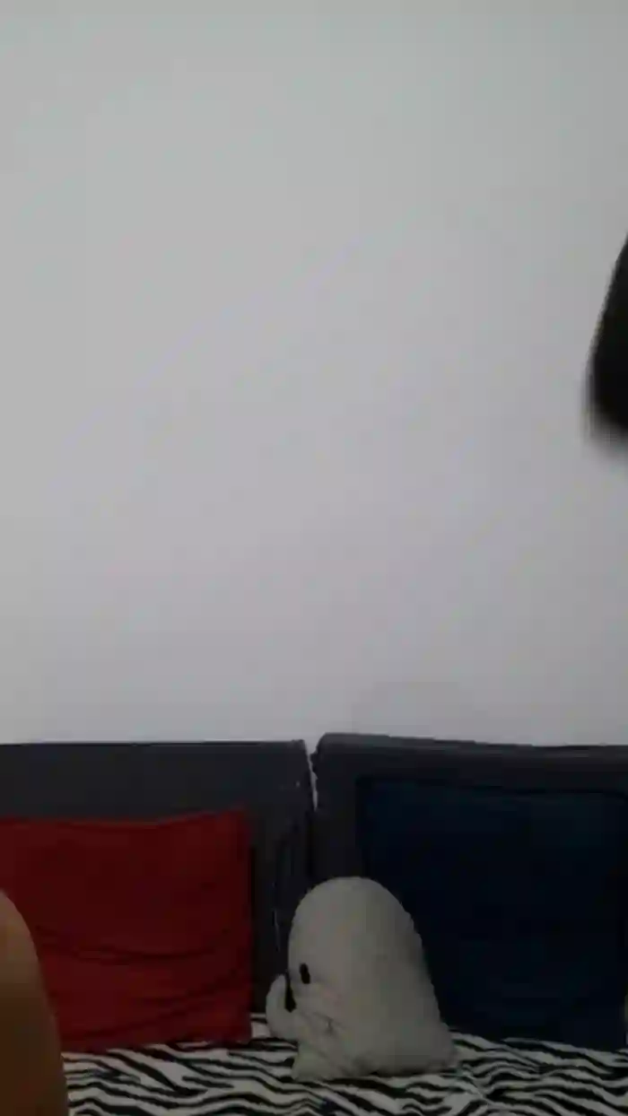 Levi_Henrique
