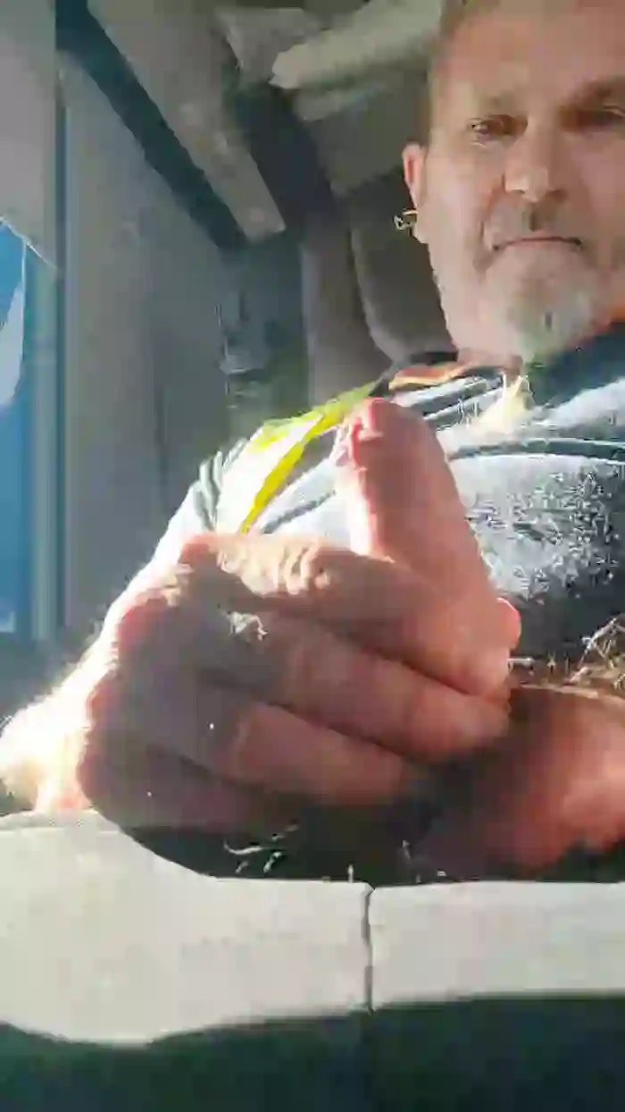 Batacchio70hot