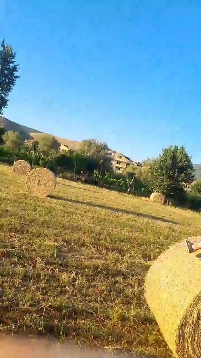 uncutcockitaly