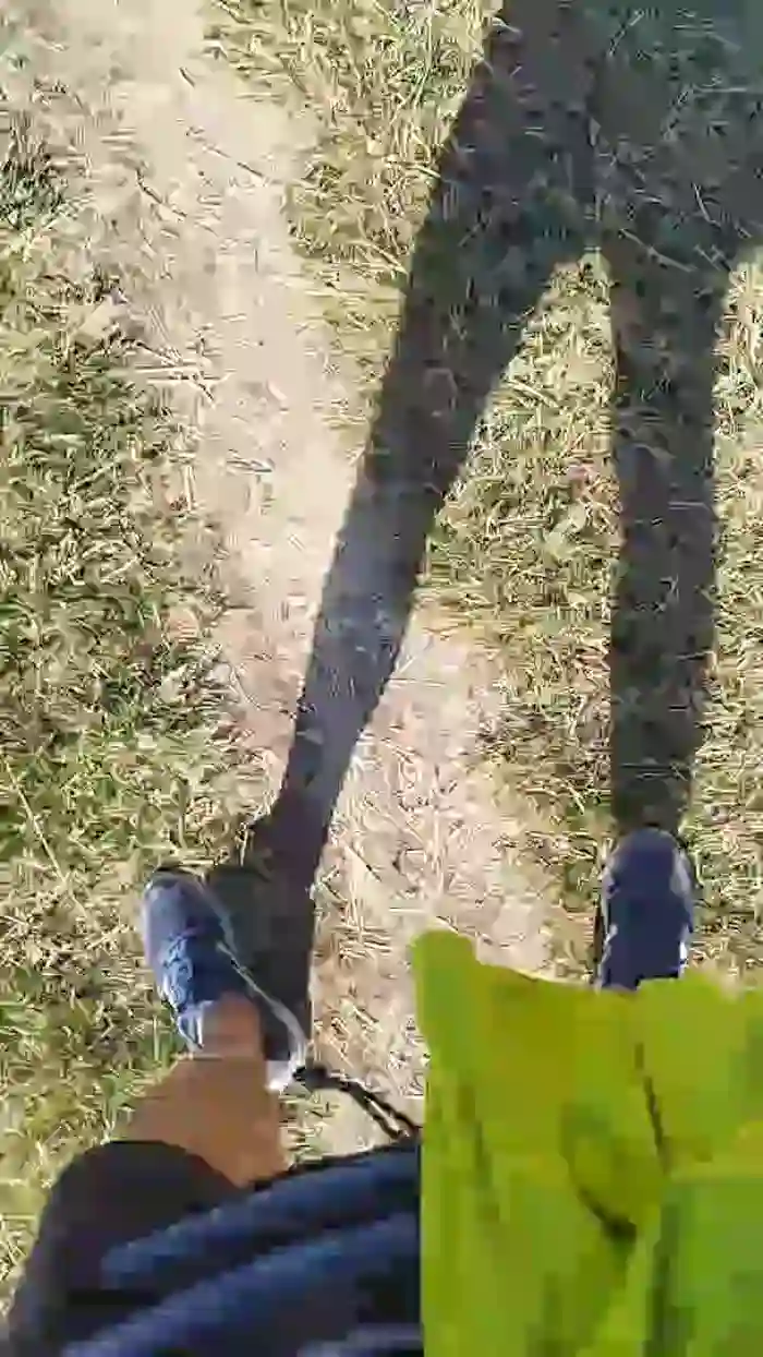 stefan519