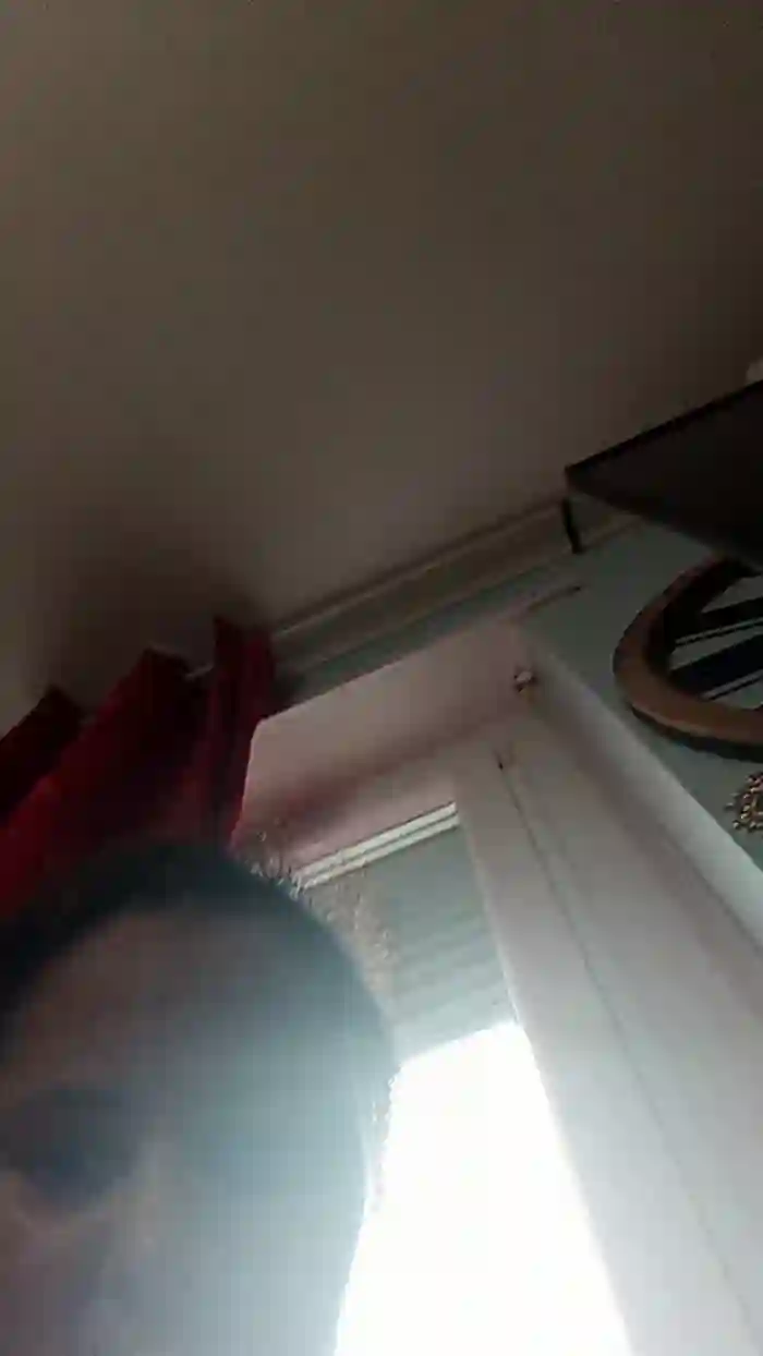 Cassandra64