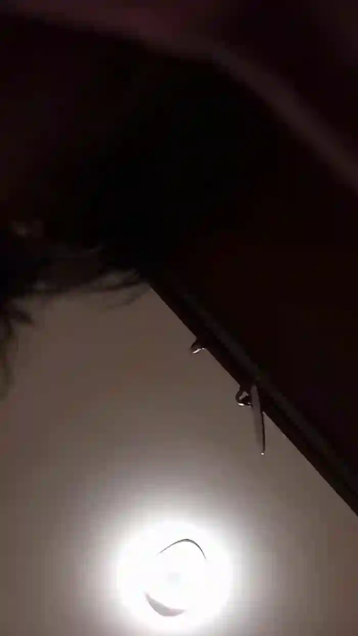 vogliadi6