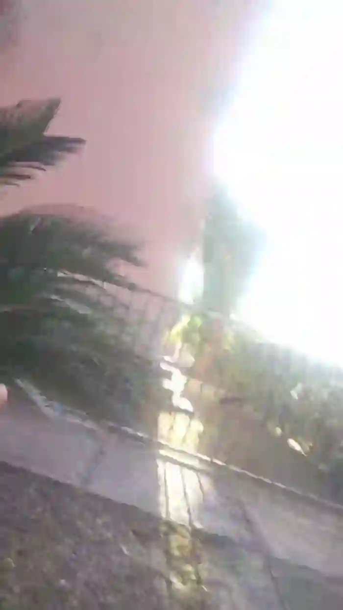 Katymarry84