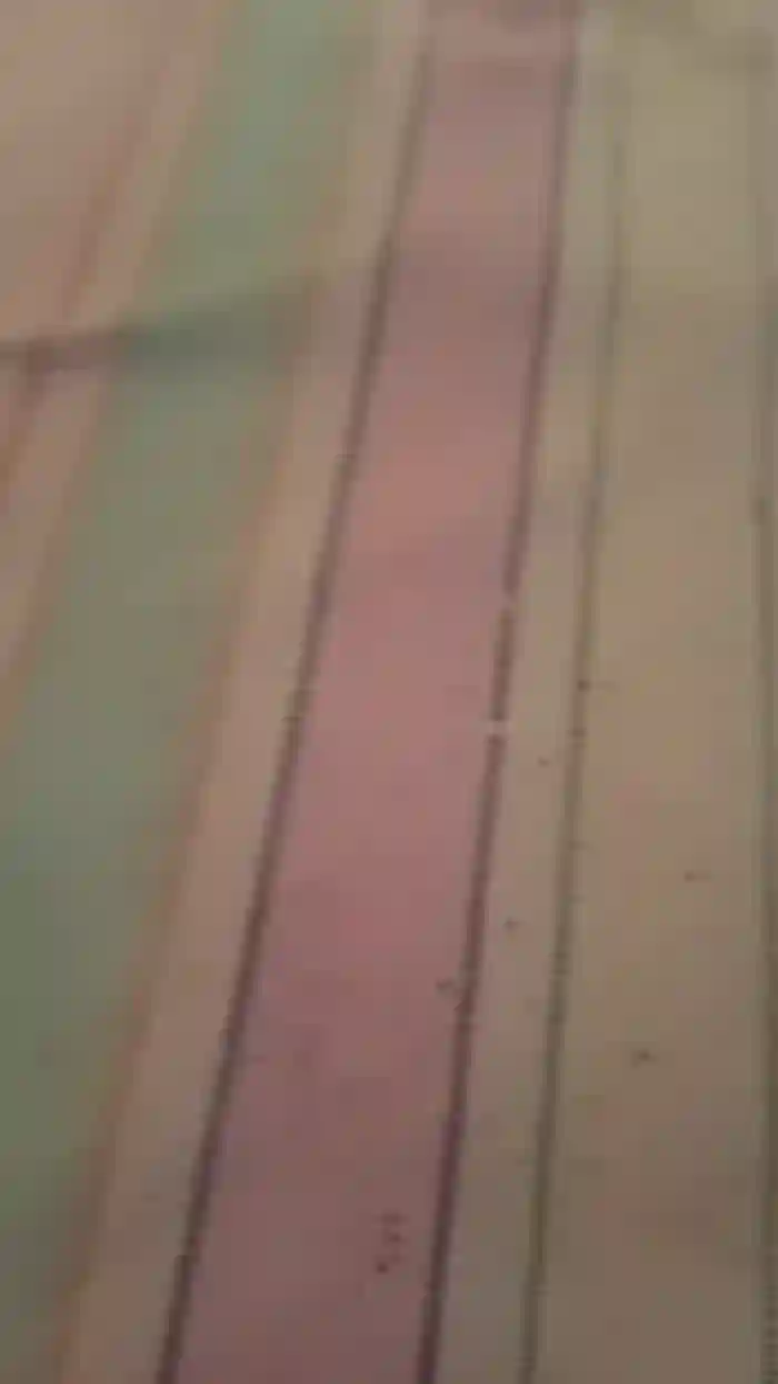 Cassandra64