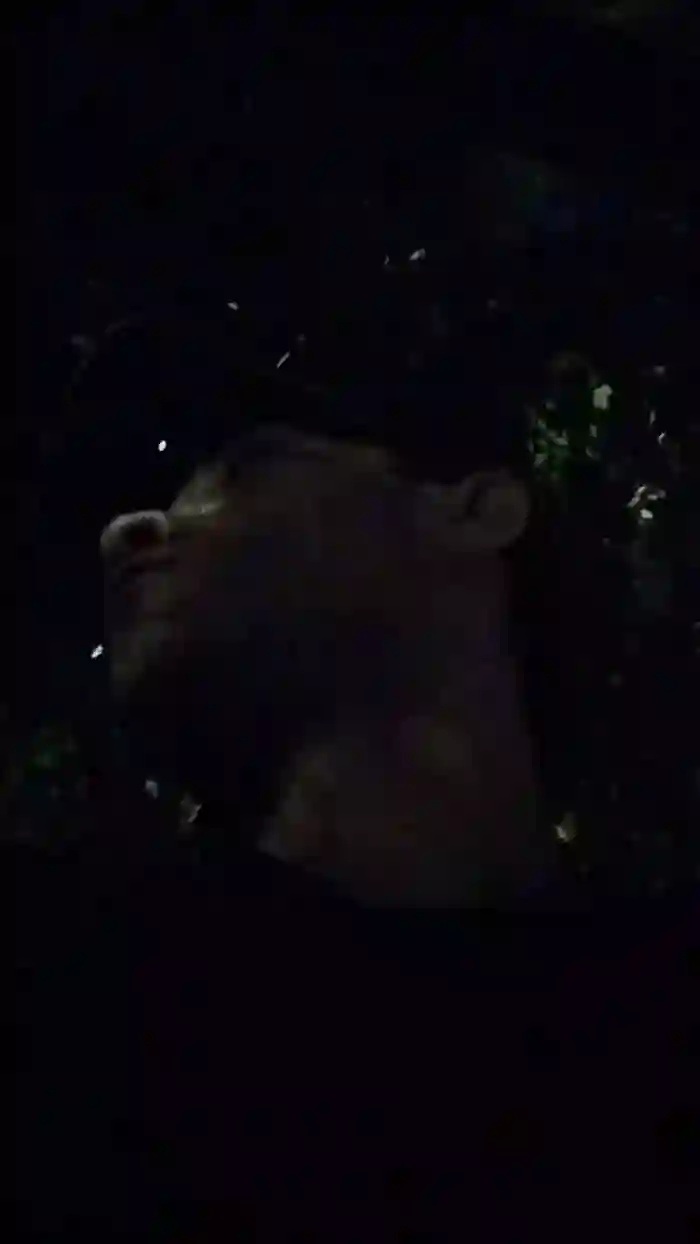 Sexylatinogay