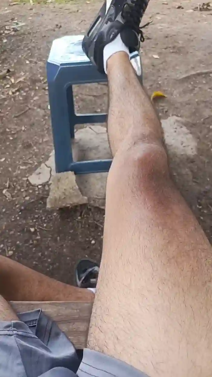 Max_hardPig