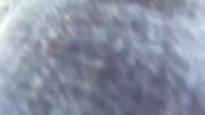 Ticklishtiger43