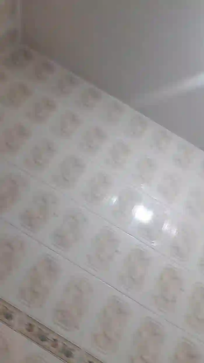 Nigeegeryano