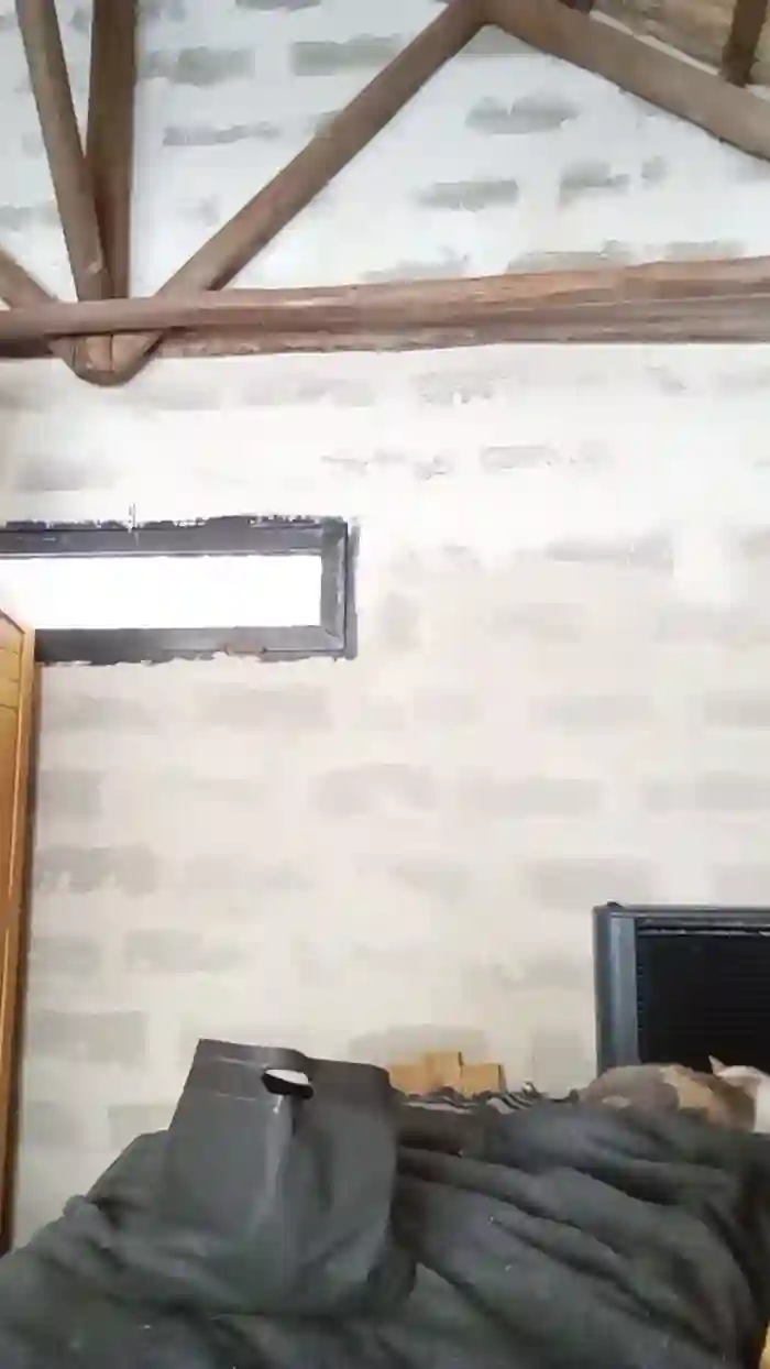 sexynestor