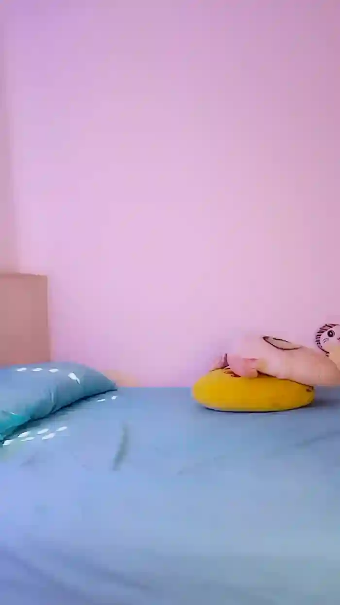 MonyCat_