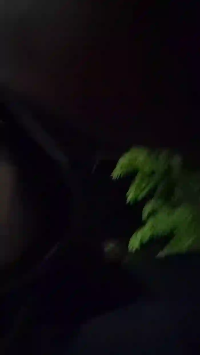Sexylatinogay