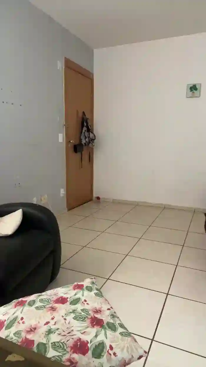 Gatinha2025