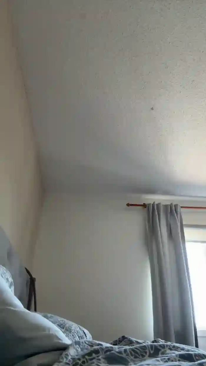 DDD_frenchlove