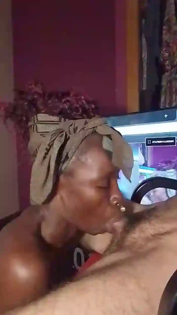 DaNaPanTerr