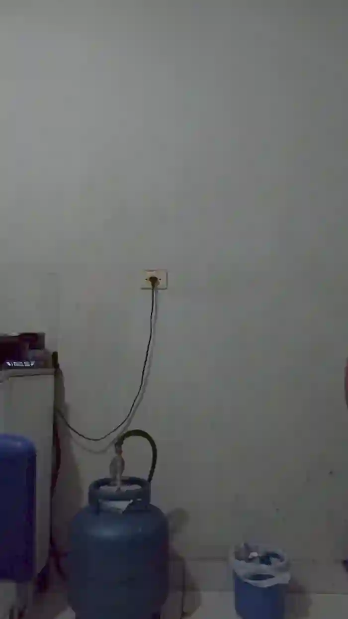 larissa333