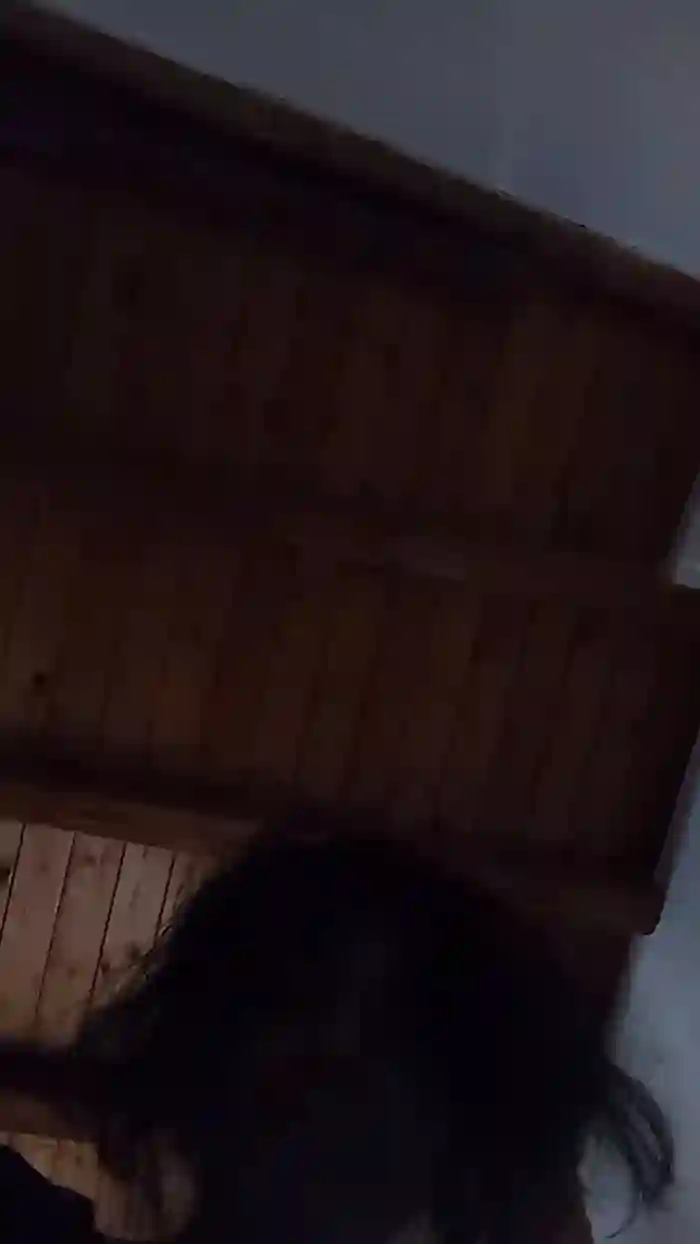 vogliadi6