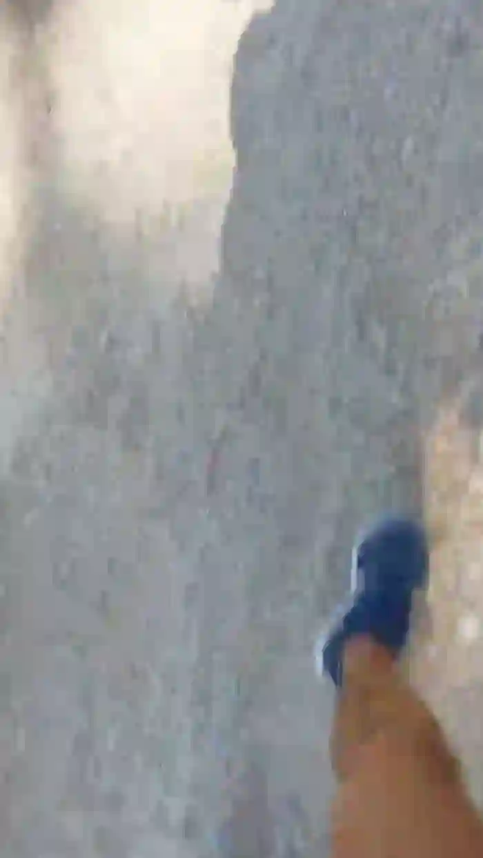 stefan519