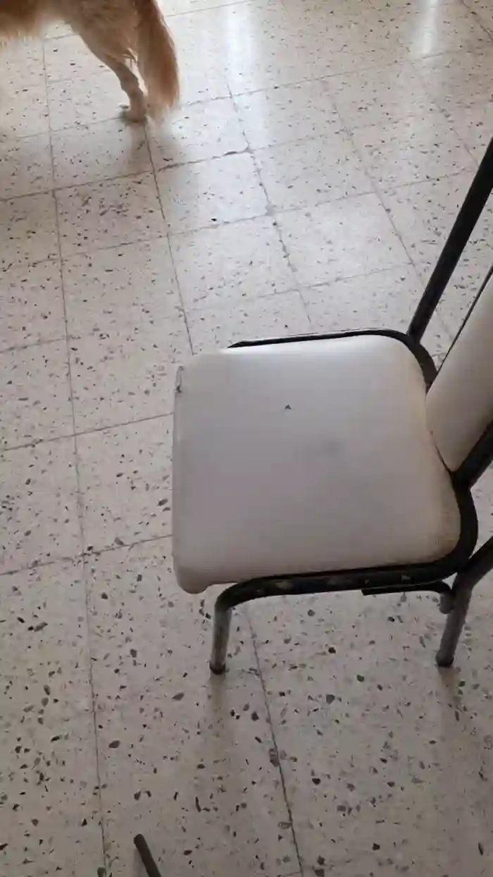 LuzCamaraAccion