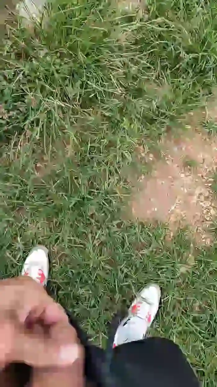 Papiyoungpig