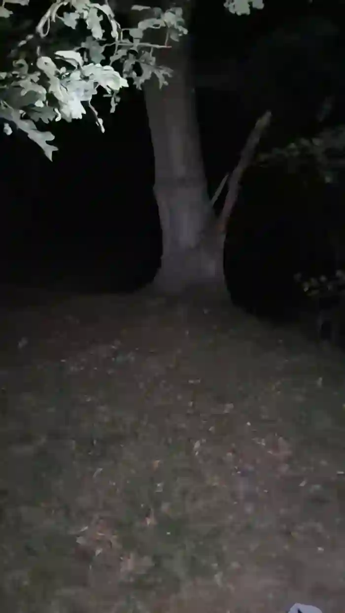 Jan_uncensored