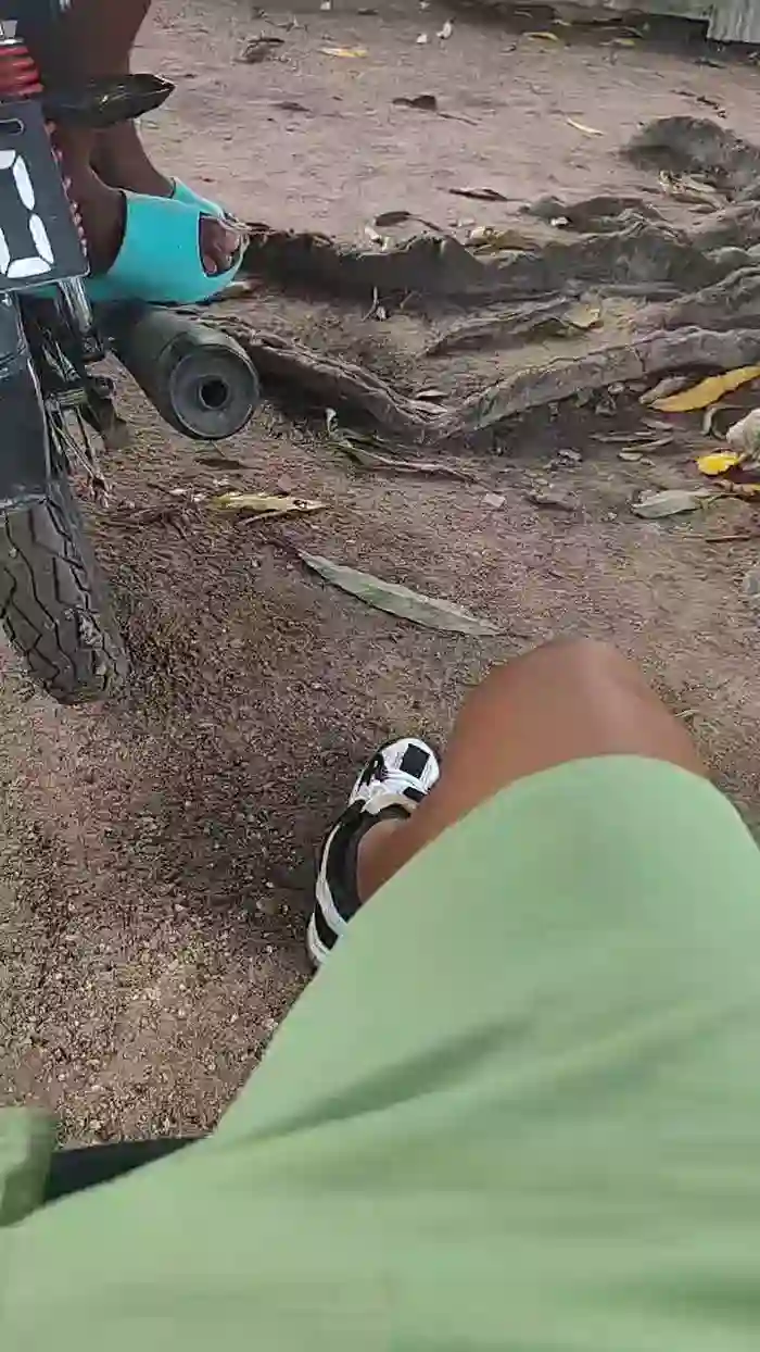 Papiyoungpig
