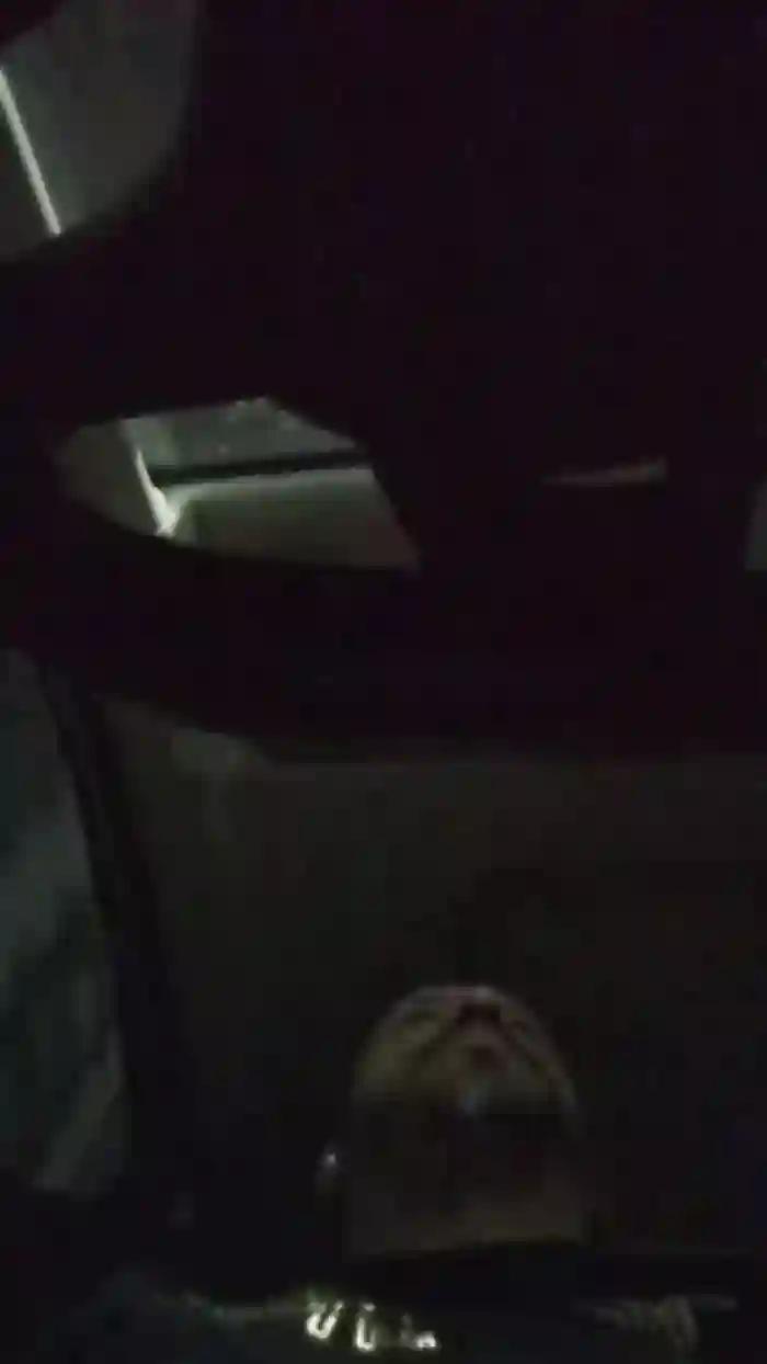jhonnybravo19
