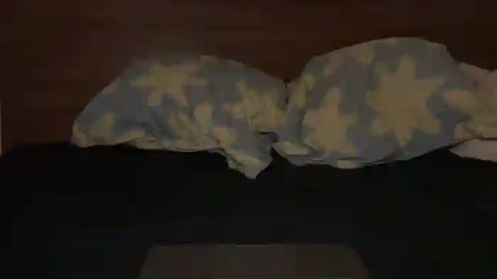 Cloclo45