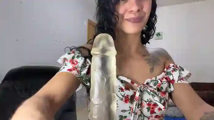 Gatinha2025