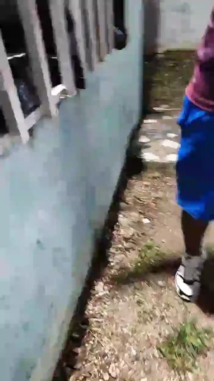 Papiyoungpig