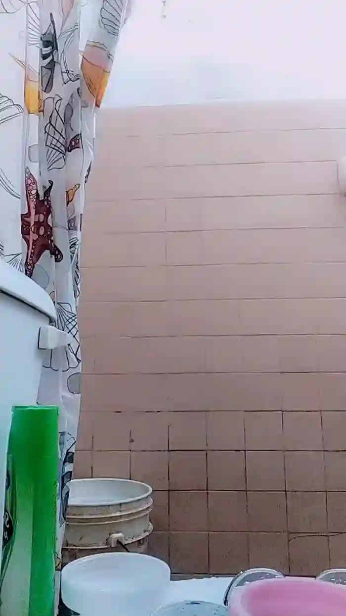 Elenitavuela