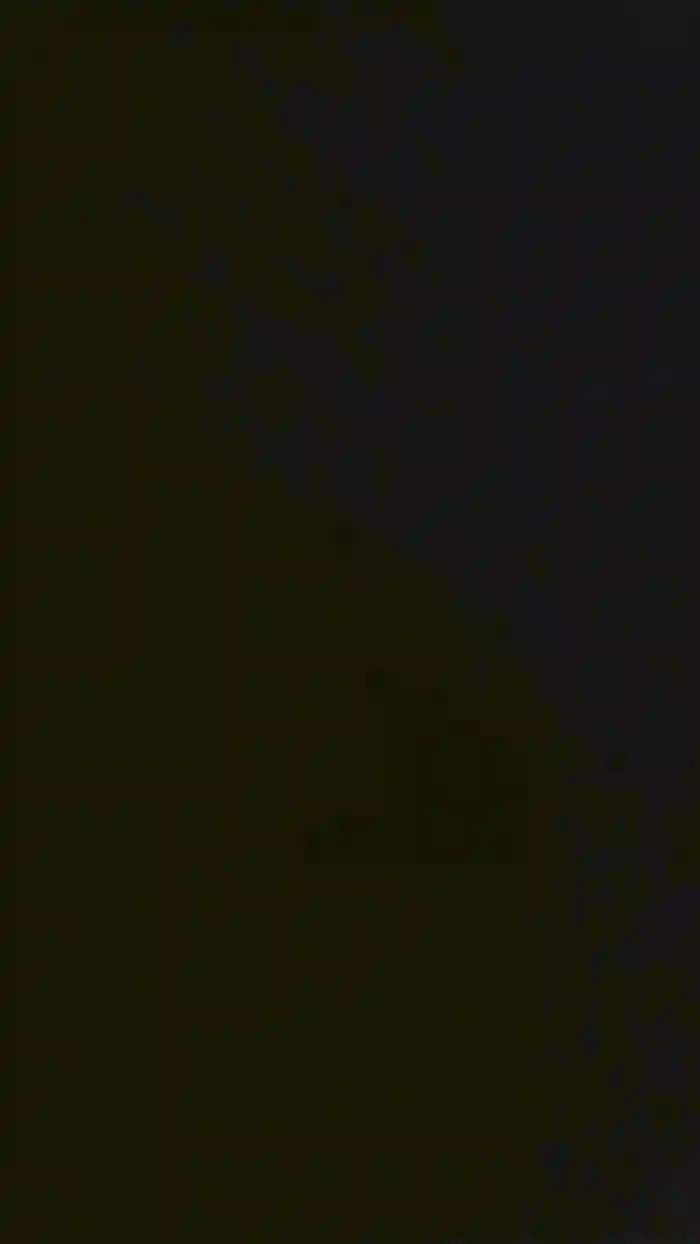 pombita4
