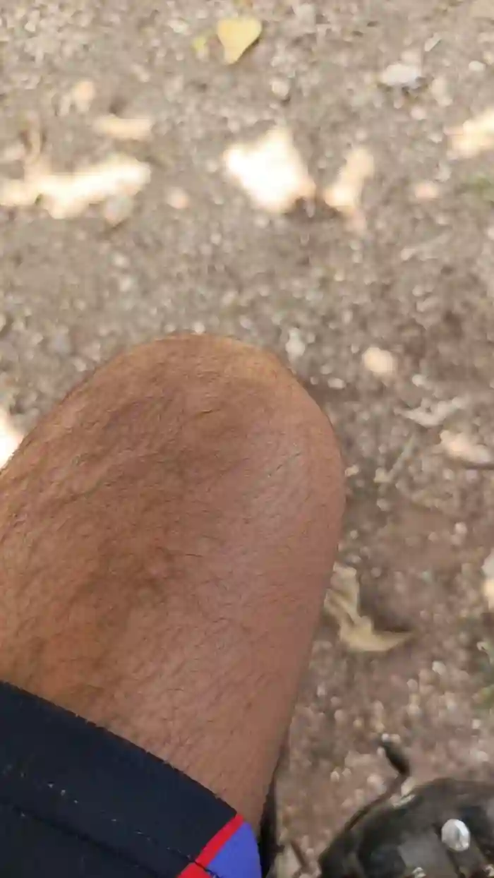 Max_hardPig
