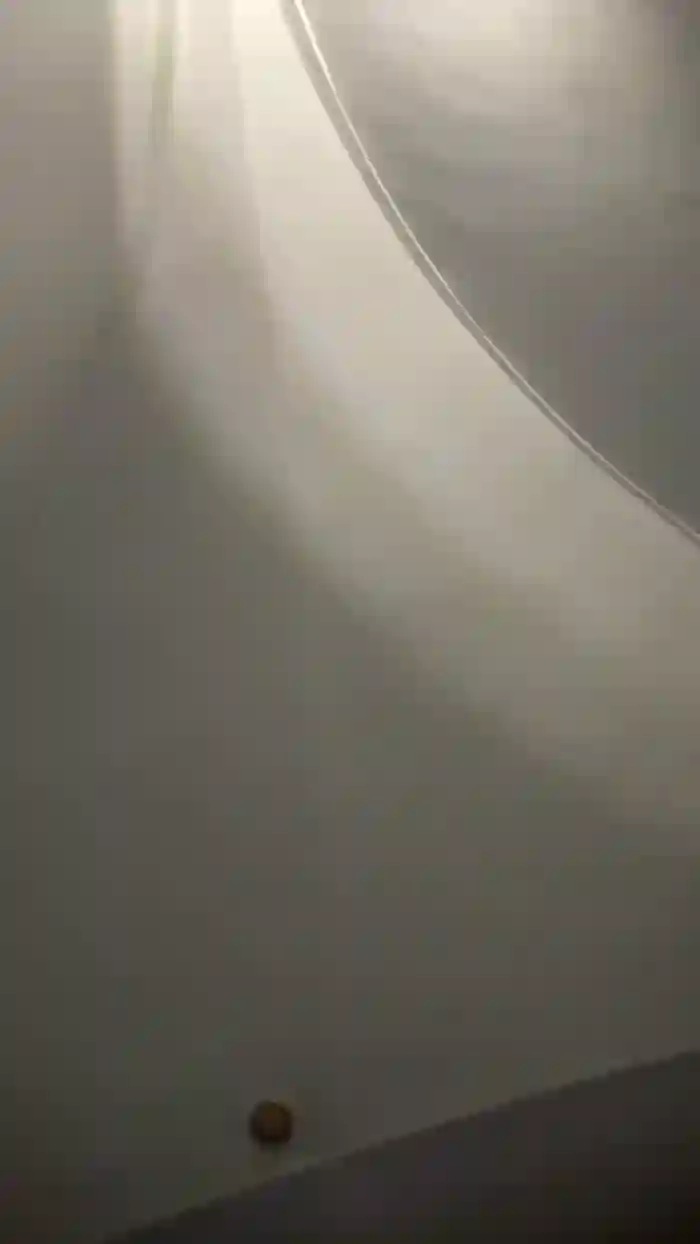SugarBabyPepper