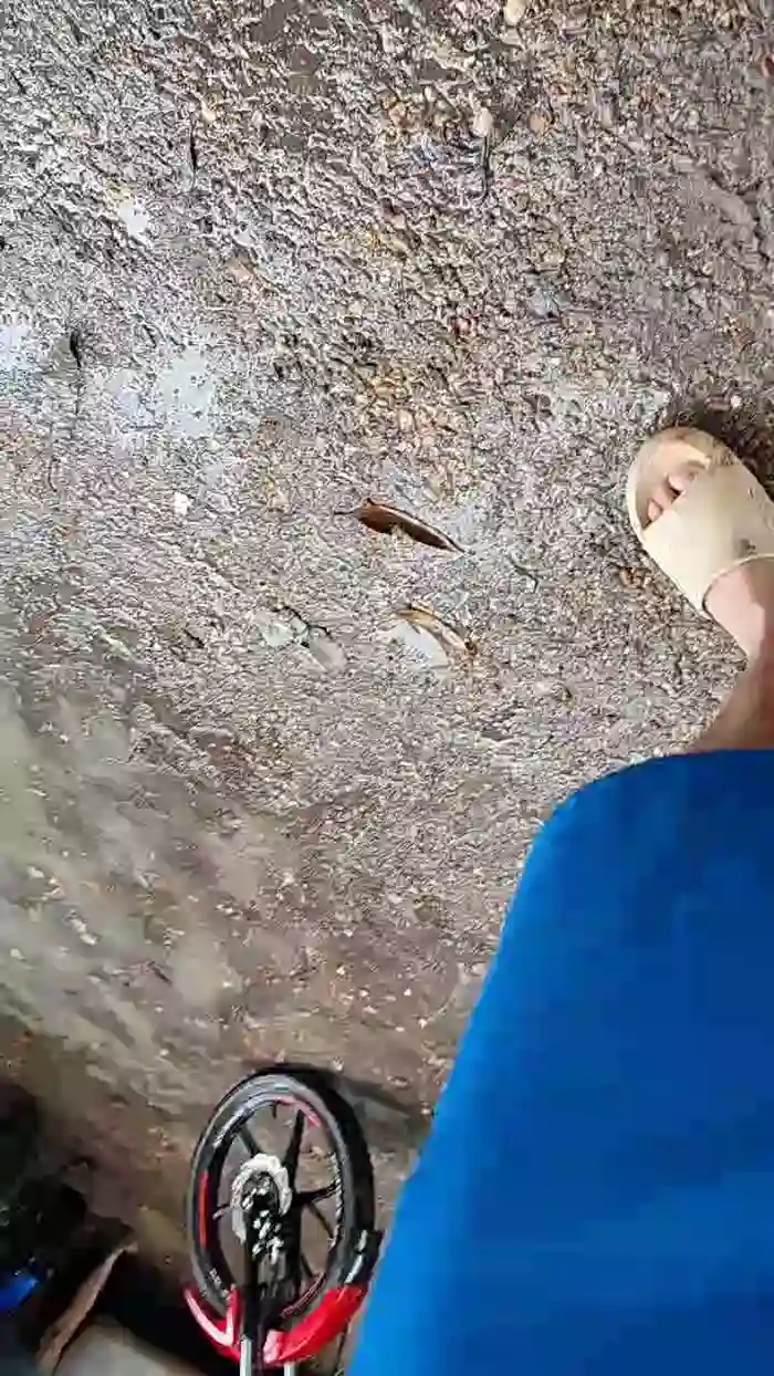 Papiyoungpig