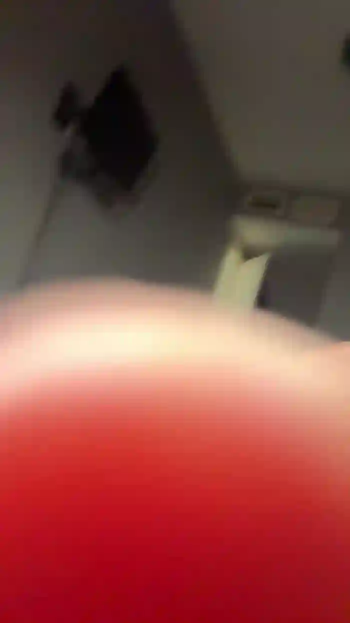 Pollon29_cm