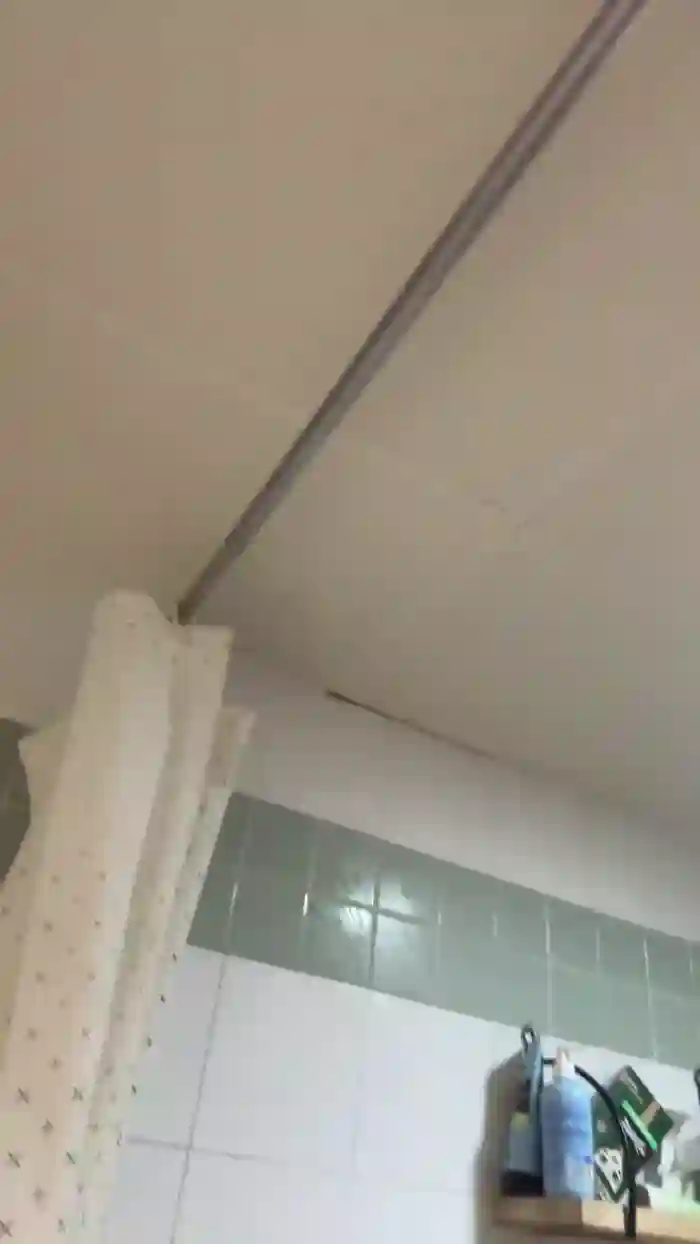 Pollon29_cm