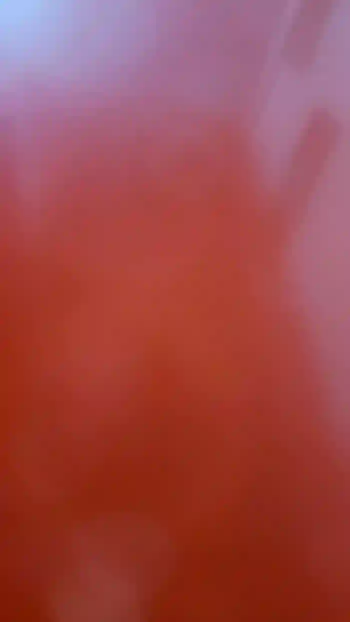 ari_5