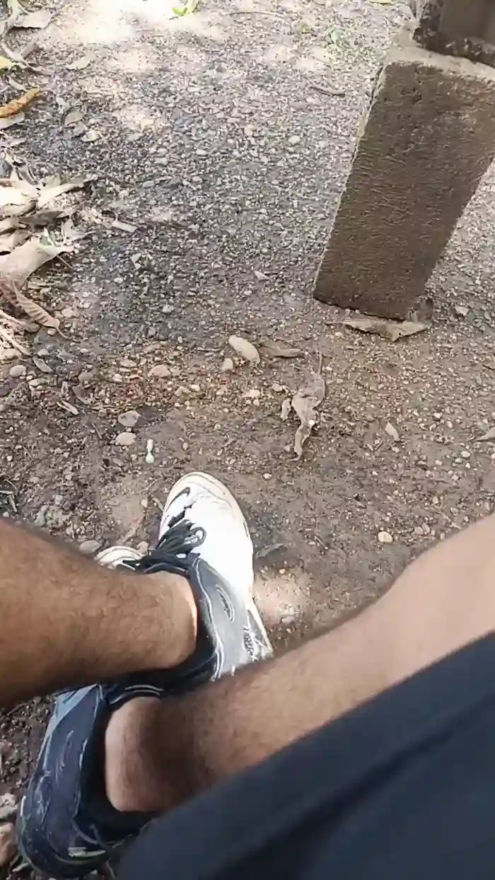 Max_hardPig