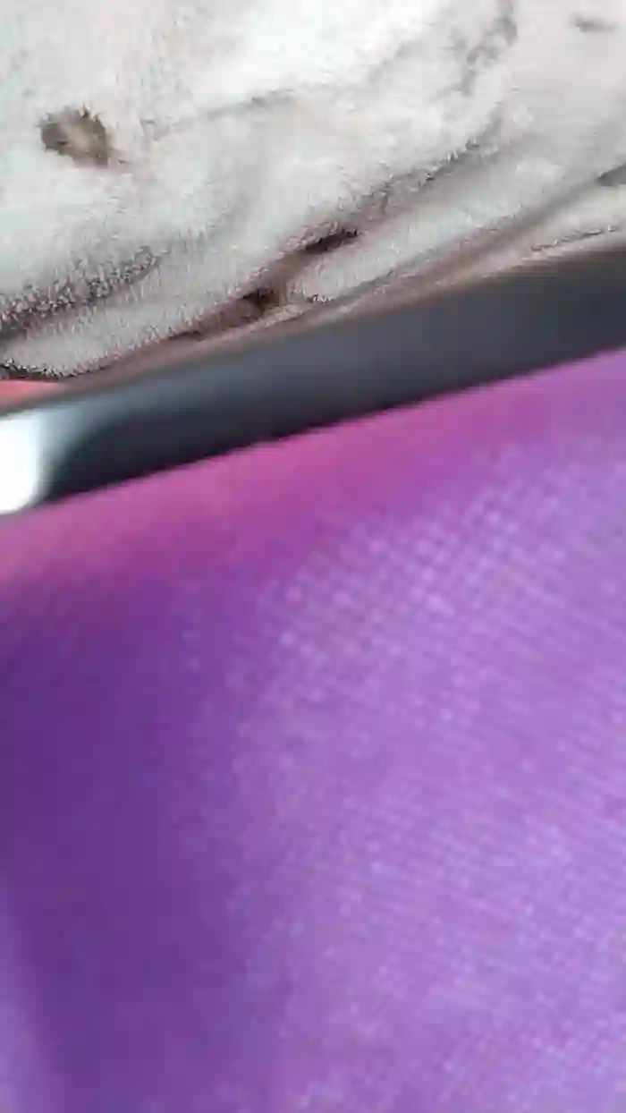 Lindamarysexy