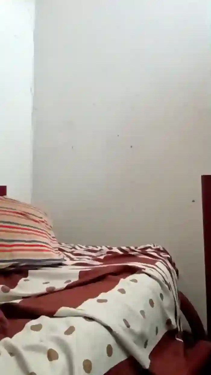Oneballx