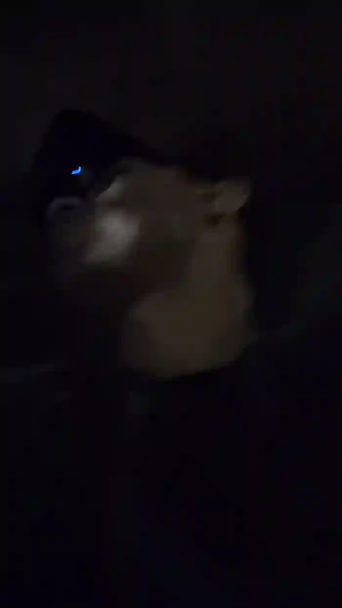 Sexylatinogay